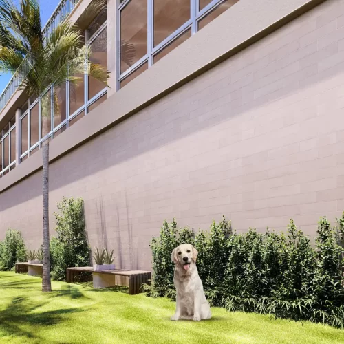 Breve-Lancamento-Legacy-Guedala-Exto-Rua-Carlos-Lima-Morel10