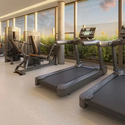 perspectiva-artistica-fitness